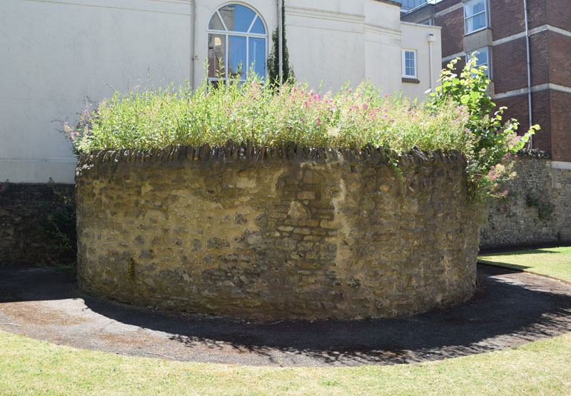 Bastion 1