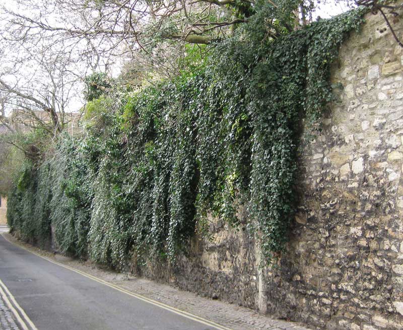 Pembroke west