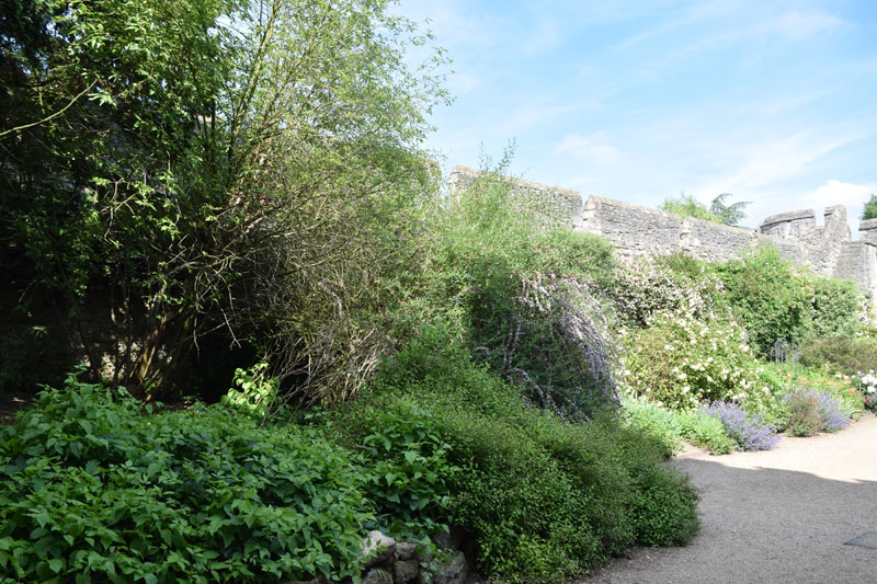 Wall to east of Bastion 12