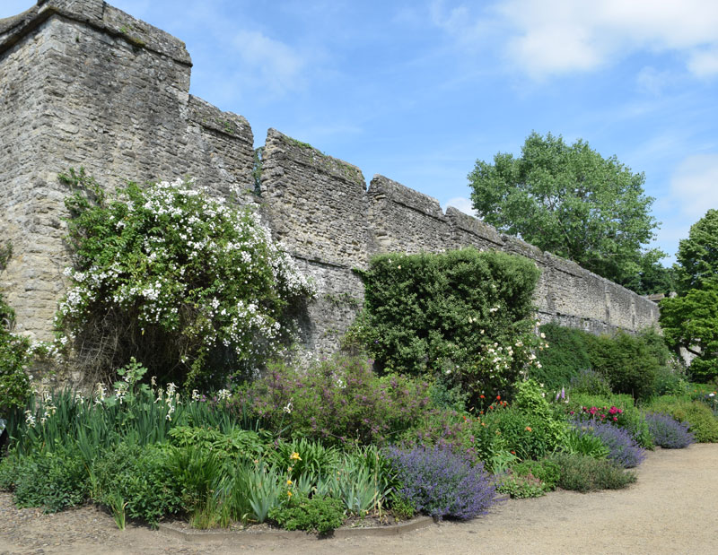 Wall to east of Bastion 13