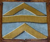 Gray&rsquo;s arms