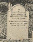 Walker gravestone