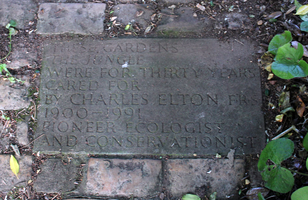 Elton inscription in pavement