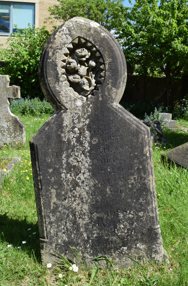 Henry Adams