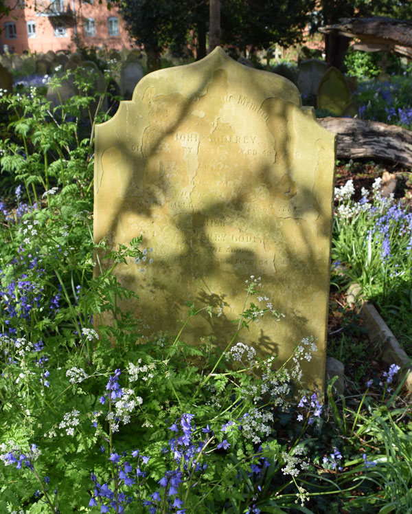 John & Mary Ann Godfrey