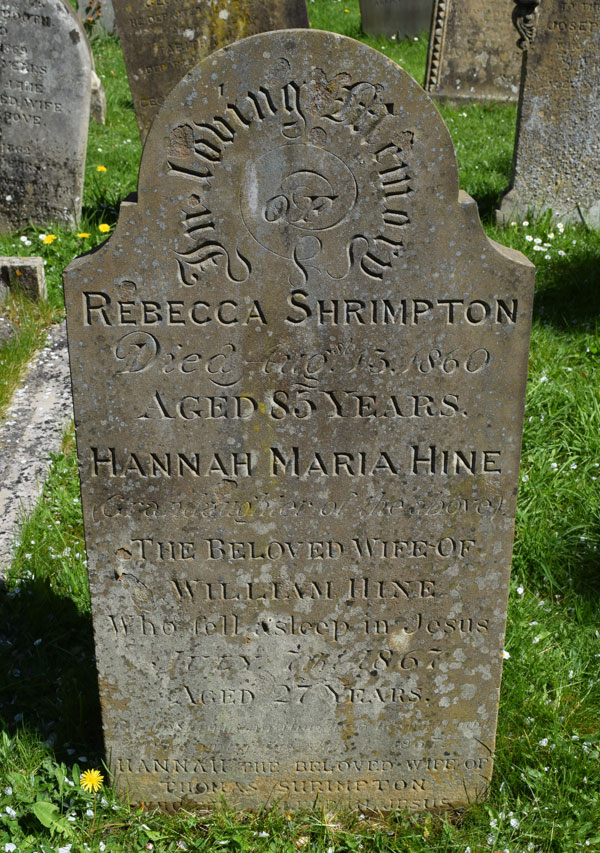 Rebecca Shrimpton