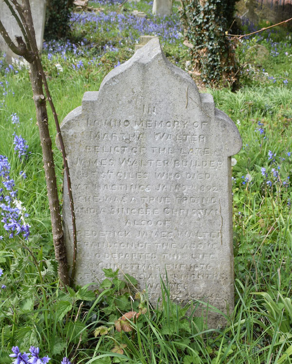 Martha Walter