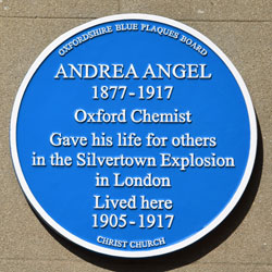 Angel blue plaque