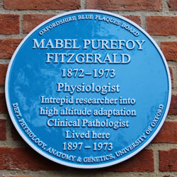 FitzGerald blue plaque