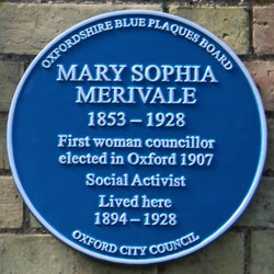 Moir blue plaque
