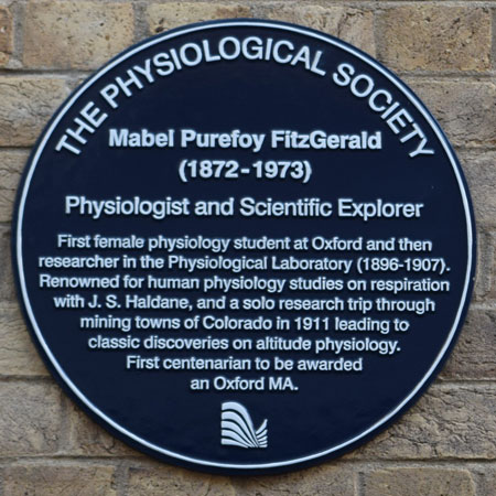 Sherrington plaque