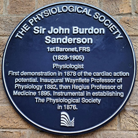 Sanderson plaque
