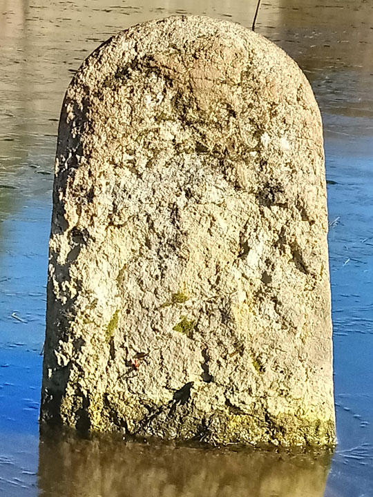 Port Meadow