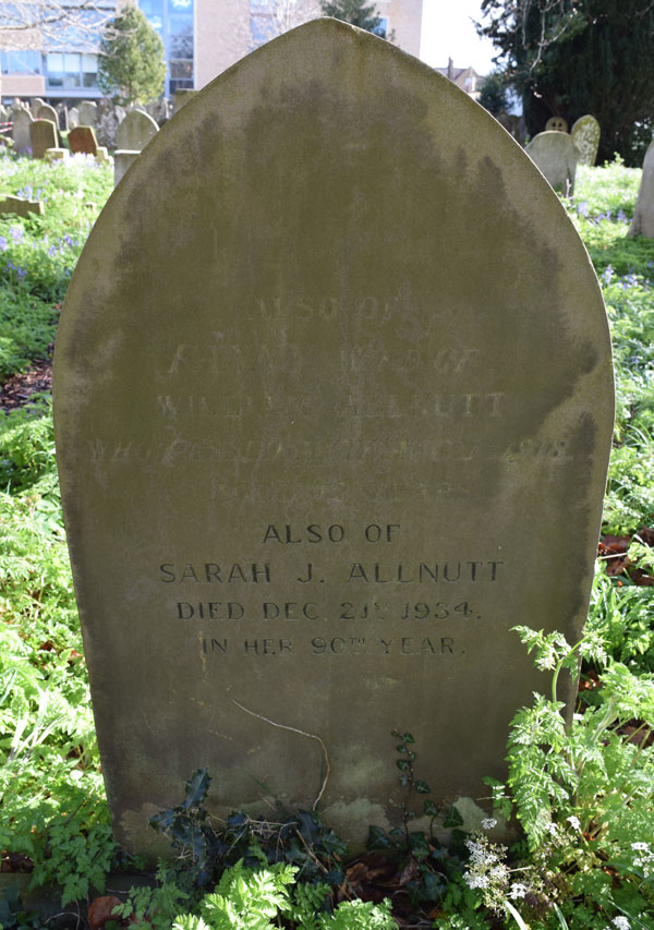 Back of Allnutt grave