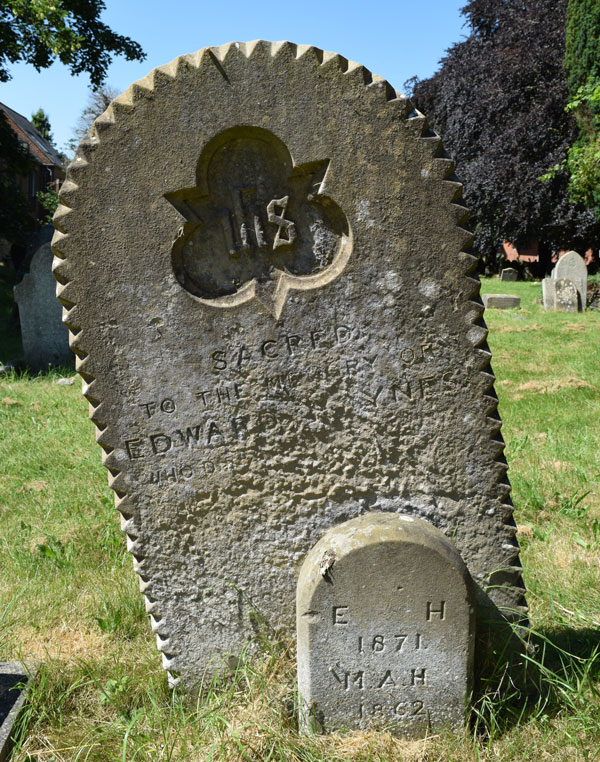Edward Haynes