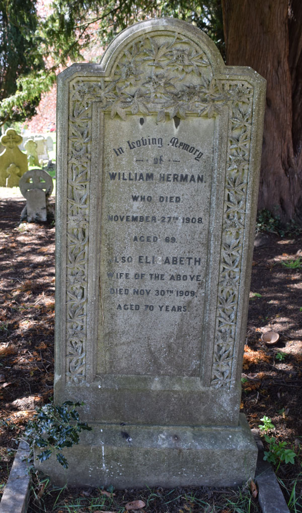 William Herman