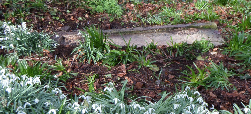 Prickett grave