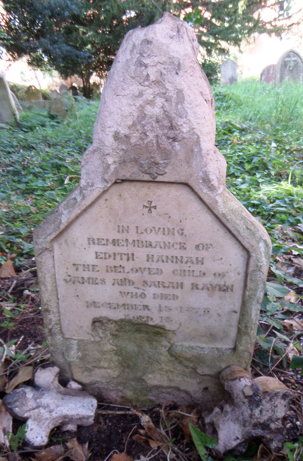 Edith Raven