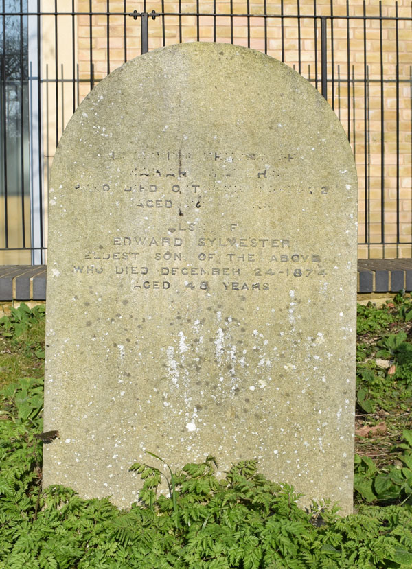 Edward Sylvester