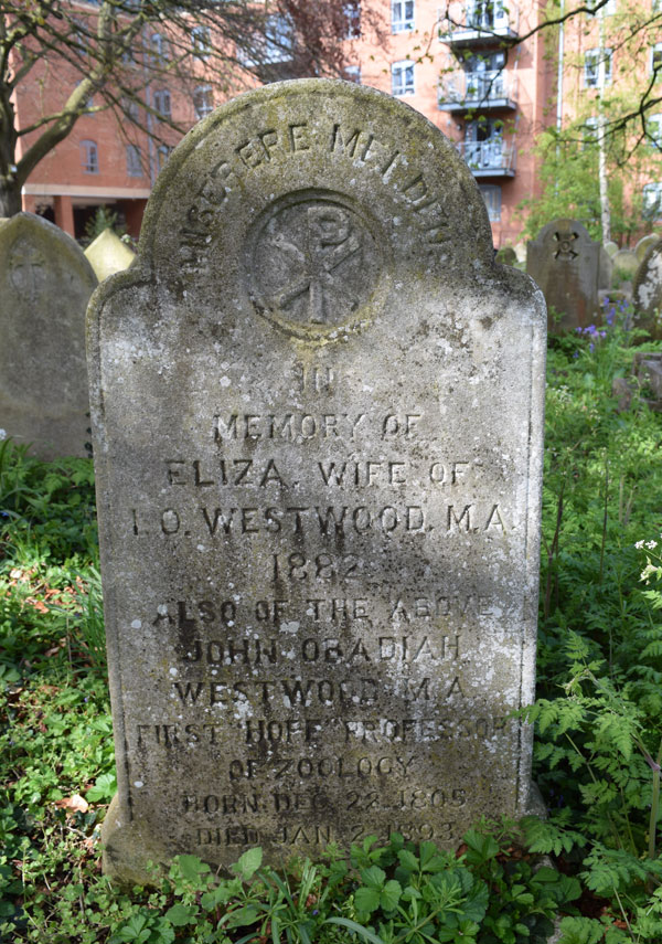 Westwood grave