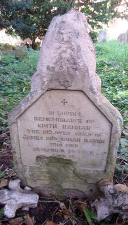 Raven grave