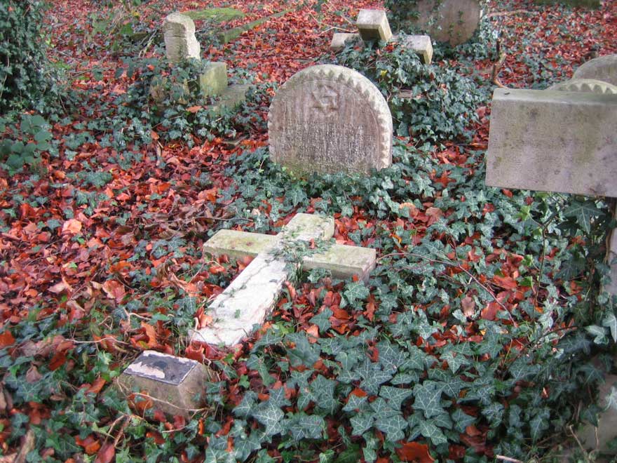 Cross with red leaves