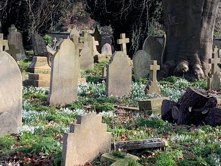 Graves