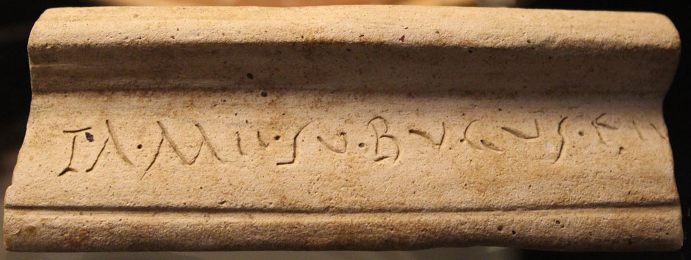 Thamesubugus